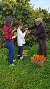 Testando el punto optimo de las naranjas